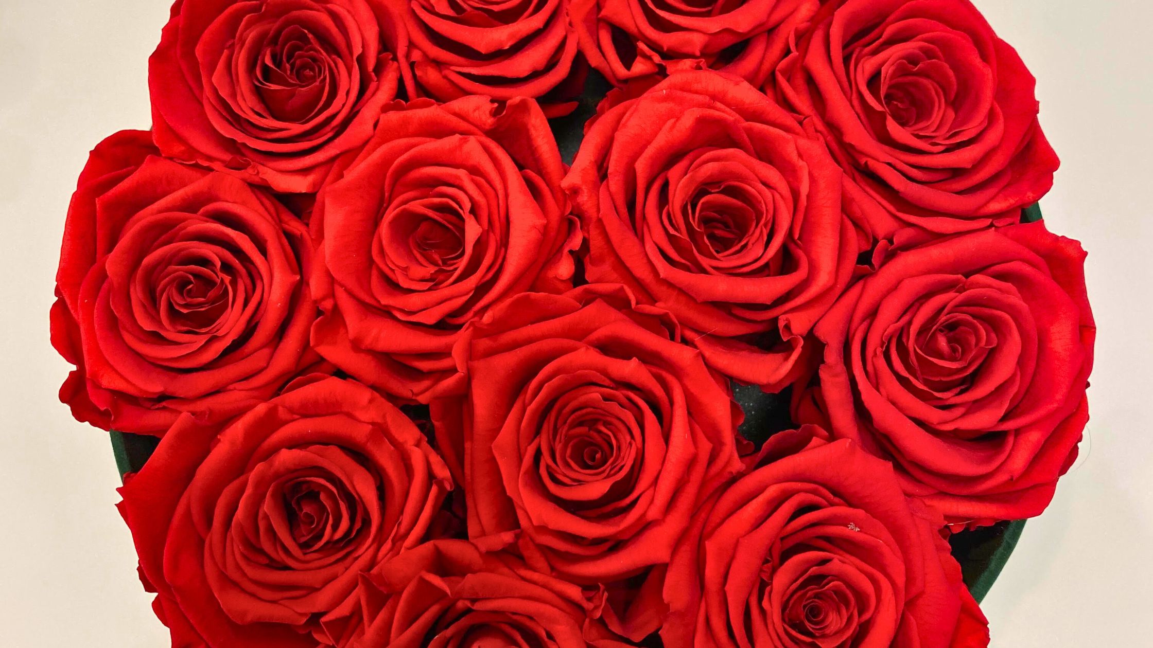 wieczne róże | Kwiaciarnia 4 Pory Roku Starachowice