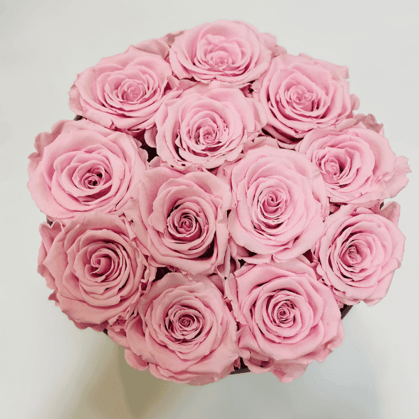 flower boxy różowe róże wieczne