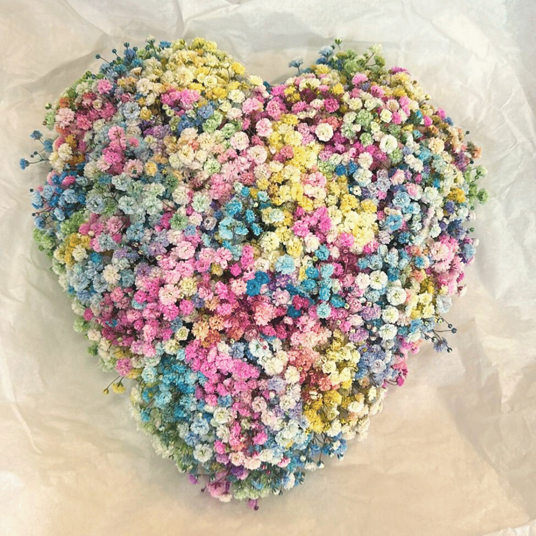 dekoracja z gipsówki