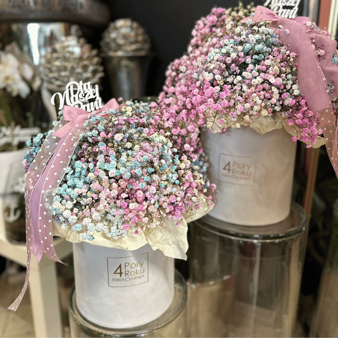 box welurowy z gipsówką