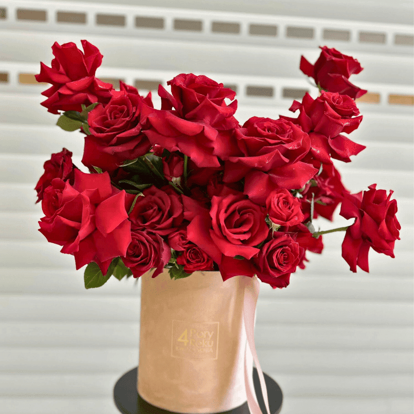 flower box czerwona róża wywijana