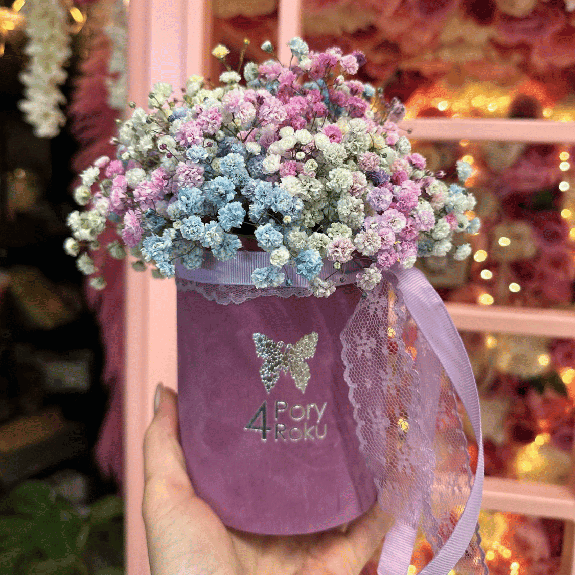 flower box gipsówka