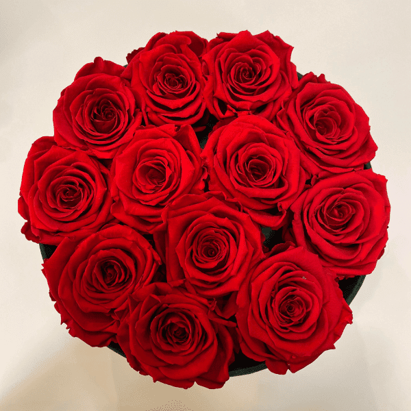 flower boxy czerwone róże