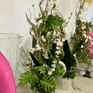 Lavera Beauty Salon
