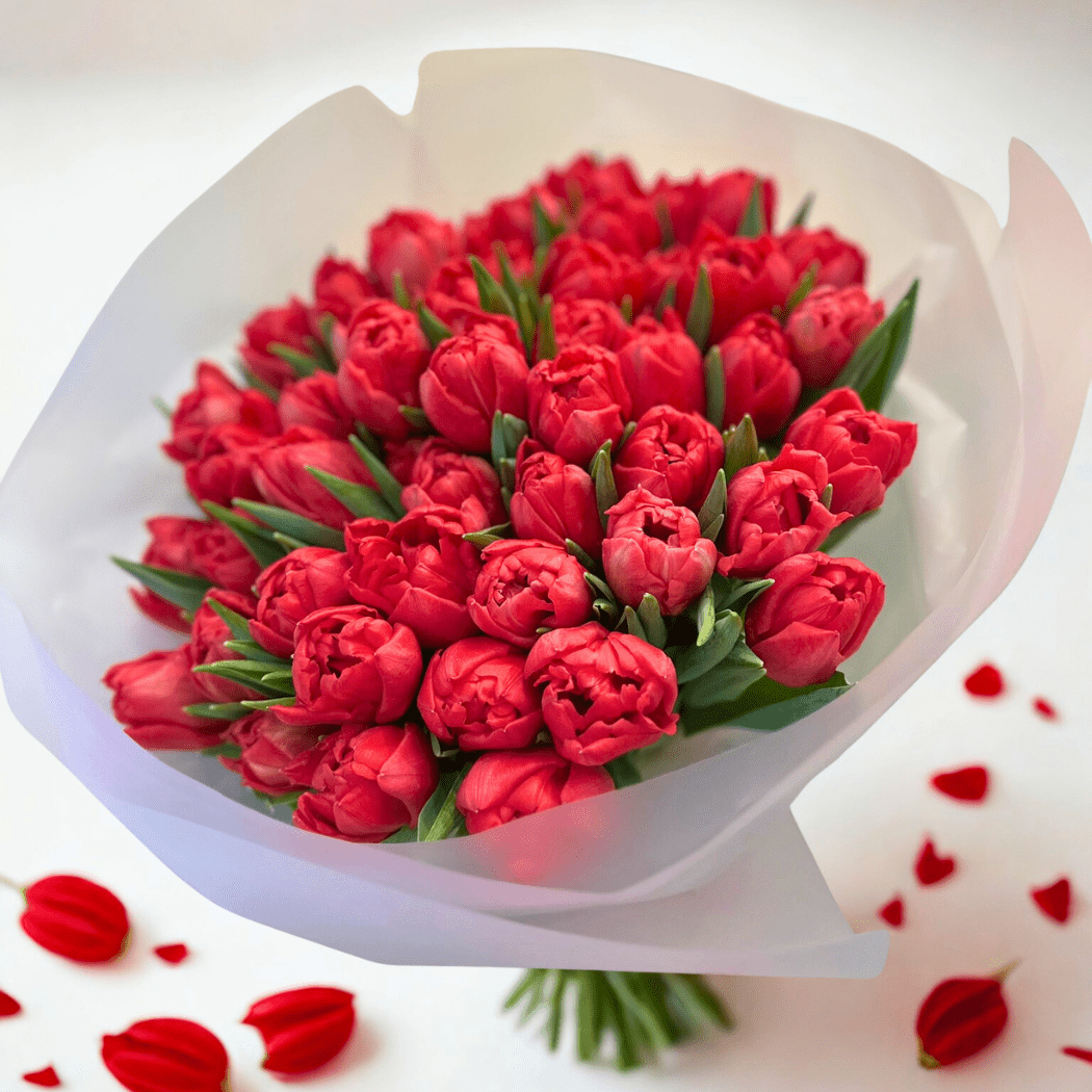 bukiet czerwonych tulipanów