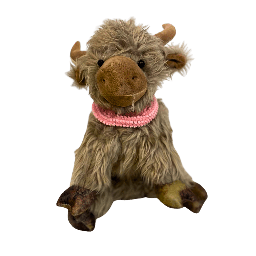 maskotka krówka krowa buffalo, krowa szkocka